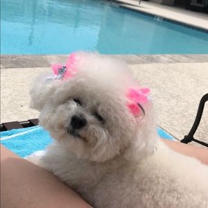 Meet your Posher, Tori